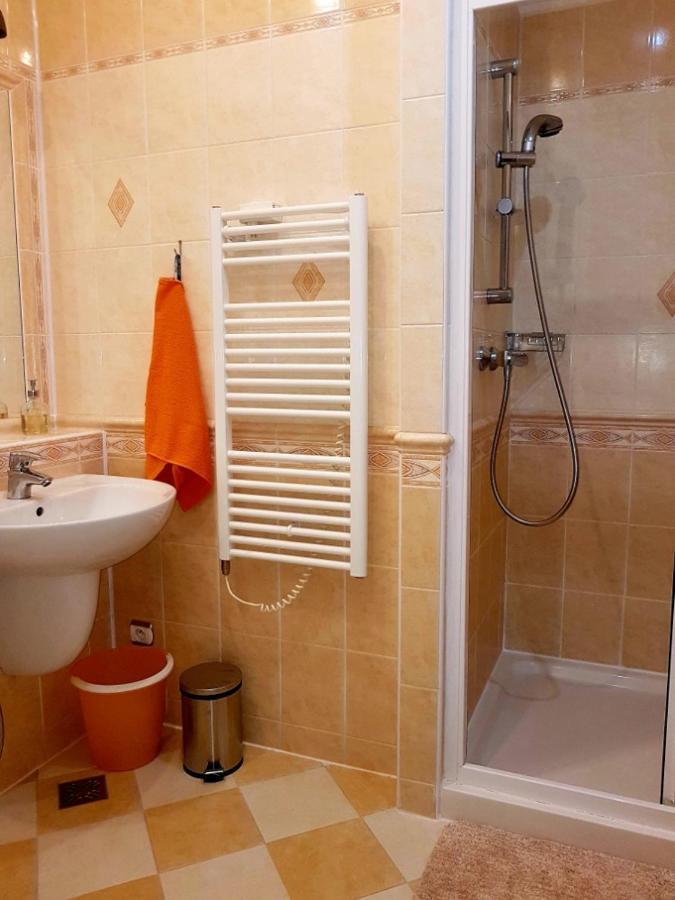 Appartment Centrum كارلوفي فاري المظهر الخارجي الصورة